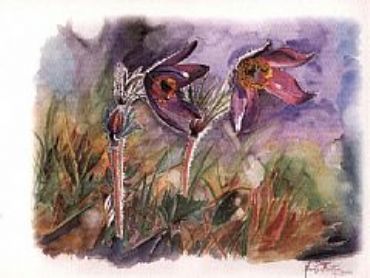 AUTORE: Valter Binotto AUTORE: Valter Binotto