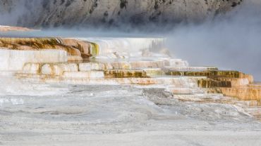 AUTORE: Luigi Dorigo - Ali e Radici Multivisioni AUTORE: Luigi Dorigo - Ali e Radici Multivisioni