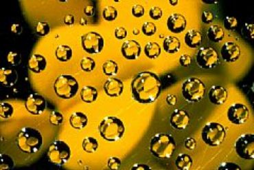 AUTORE: Carlo De Agnoi AUTORE: Carlo De Agnoi